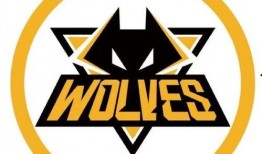 狼队老林爆料最新消息,最新消息揭秘球队动态与幕后故事